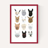 Lamas in Glasses