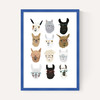 Lamas in Glasses