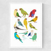 Parrots Medium White Frame
