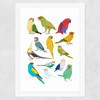 Parrots Wide White Frame