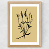 Mono Botanical 7 Wide Oak Frame