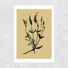 Mono Botanical 7 Unframed Print