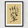 Mono Botanical 7