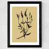 Mono Botanical 7 Wide Black Frame