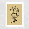 Mono Botanical 7 Narrow White Frame