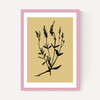 Mono Botanical 7