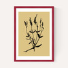 Mono Botanical 7