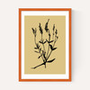 Mono Botanical 7