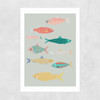 Fish Unframed Print