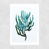 Seaweed by Dan Hobday Unframed Print