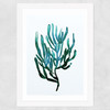 Seaweed by Dan Hobday Wide White Frame