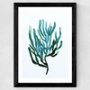 Seaweed by Dan Hobday