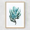 Seaweed by Dan Hobday