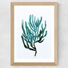 Seaweed by Dan Hobday