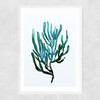 Seaweed by Dan Hobday