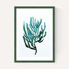Seaweed by Dan Hobday