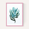 Seaweed by Dan Hobday