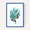 Seaweed by Dan Hobday