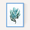 Seaweed by Dan Hobday