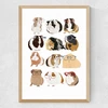 Guinea Pigs Wearing Glasses Medium Oak Frame