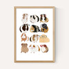 Guinea Pigs Wearing Glasses