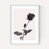 One Rose