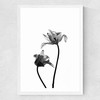 Iris by Honeymoon Hotel Medium White Frame