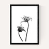 Iris by Honeymoon Hotel