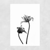 Iris by Honeymoon Hotel