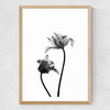 Iris by Honeymoon Hotel