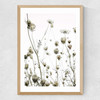 Flutterby Medium Oak Frame
