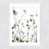 Flutterby Narrow White Frame