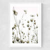 Flutterby Medium White Frame