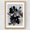 Mono Botanical 11 Wide Oak Frame