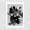 Mono Botanical 11