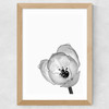 Delicate Poppy Wide Oak Frame