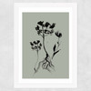 Mono Botanical 6 Wide White Frame