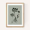 Mono Botanical 6