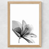 Amaryllis Wide Oak Frame