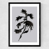 Mono Botanical 10 Medium Black Frame