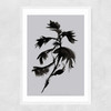 Mono Botanical 10 Narrow White Frame
