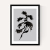 Mono Botanical 10