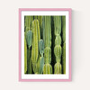 Druid's Cactus