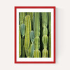 Druid's Cactus