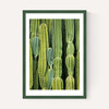 Druid's Cactus