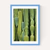Druid's Cactus