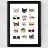 Cats in Glasses Wide Black Frame