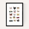 Cats in Glasses