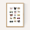Cats in Glasses