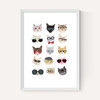Cats in Glasses